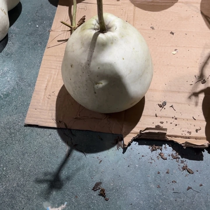 用***2有机玻璃我们的确是一个很好的保成