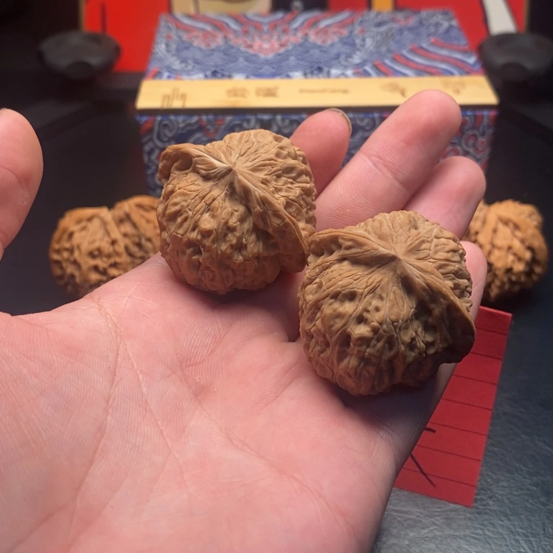 出b吧宝贝哥哥白毛