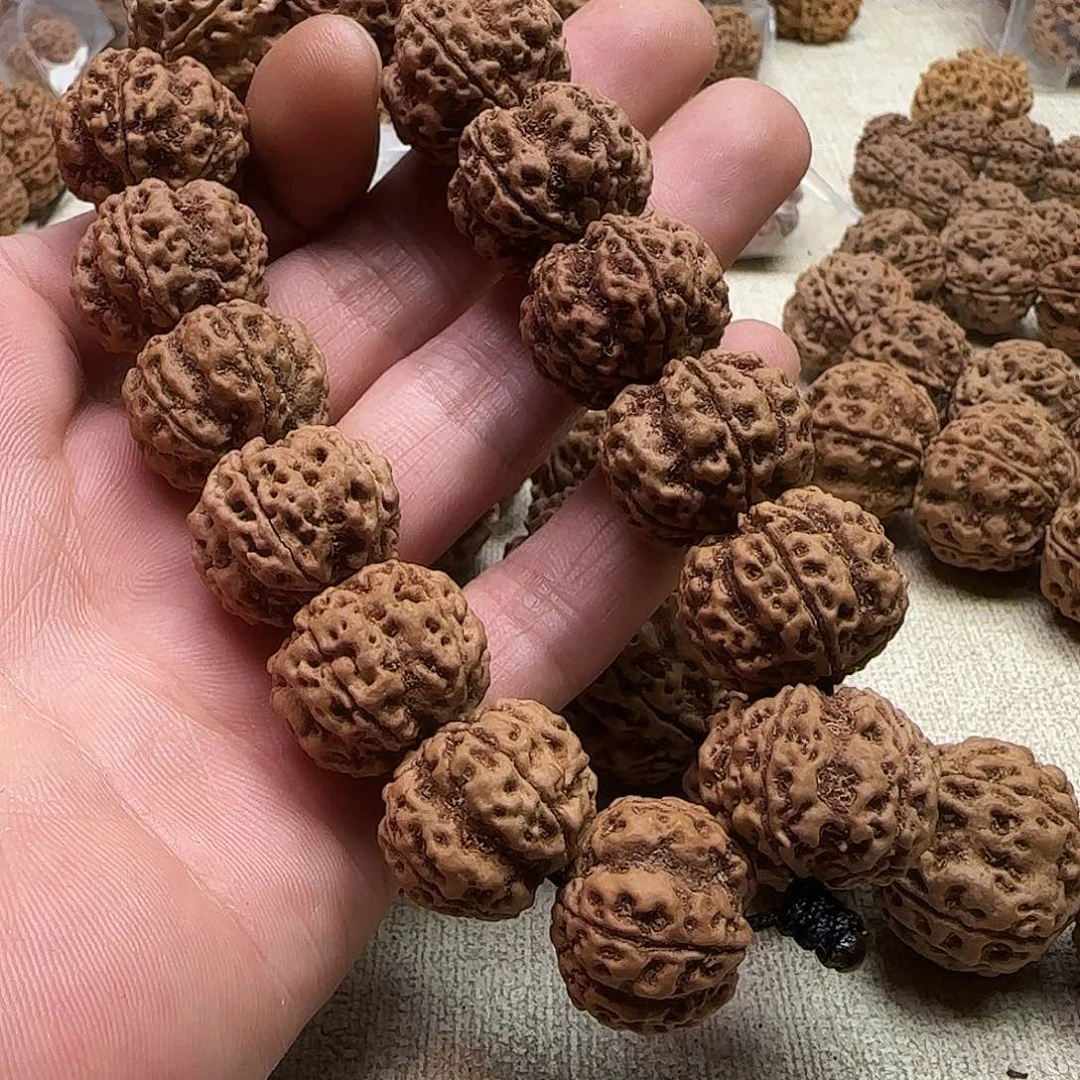 故***酒金刚菩提手串1原生态五星双龙
