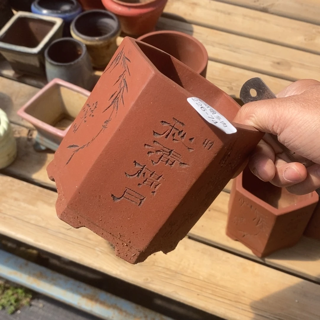 红陶?****ℯ74号多肉盆一个呀