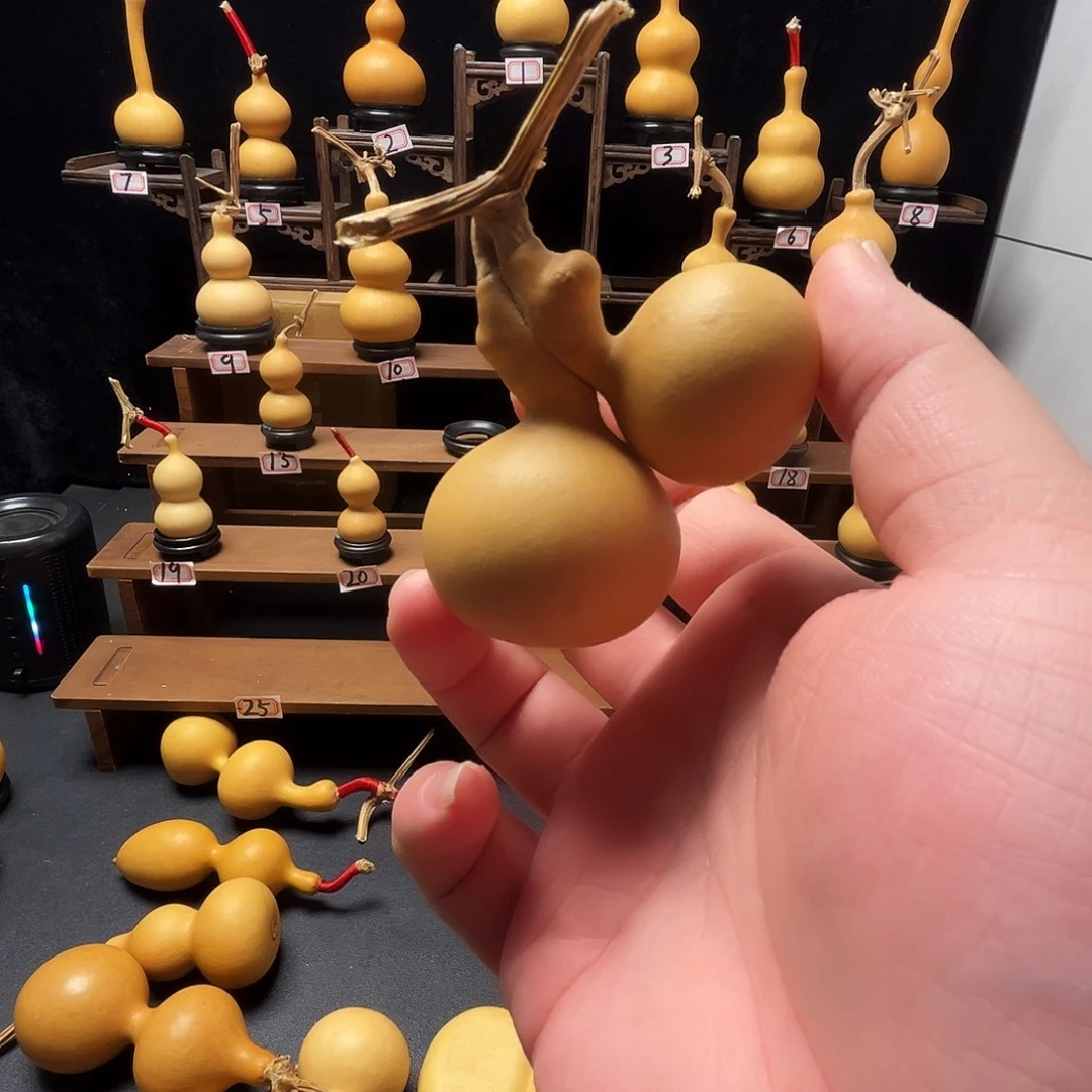 大***伟葫芦葫芦葫芦葫芦