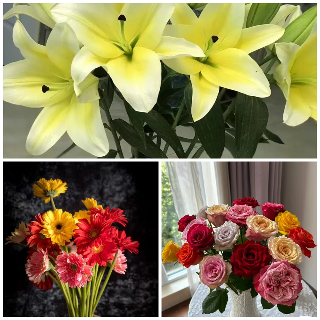粉丝福利鲜花大礼包（一）（居家办公优选）《东北基地发货》