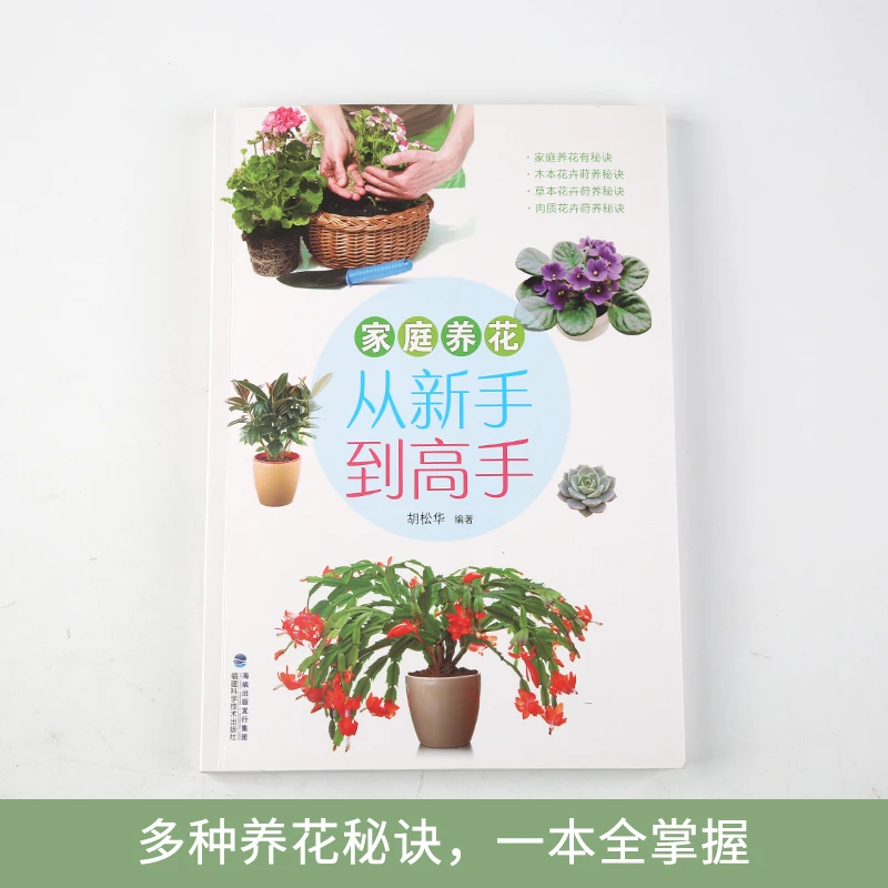 家庭养花 从新手到高手