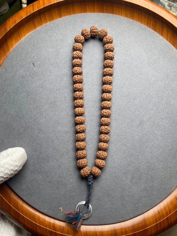 勿里达老树王手持编号6925