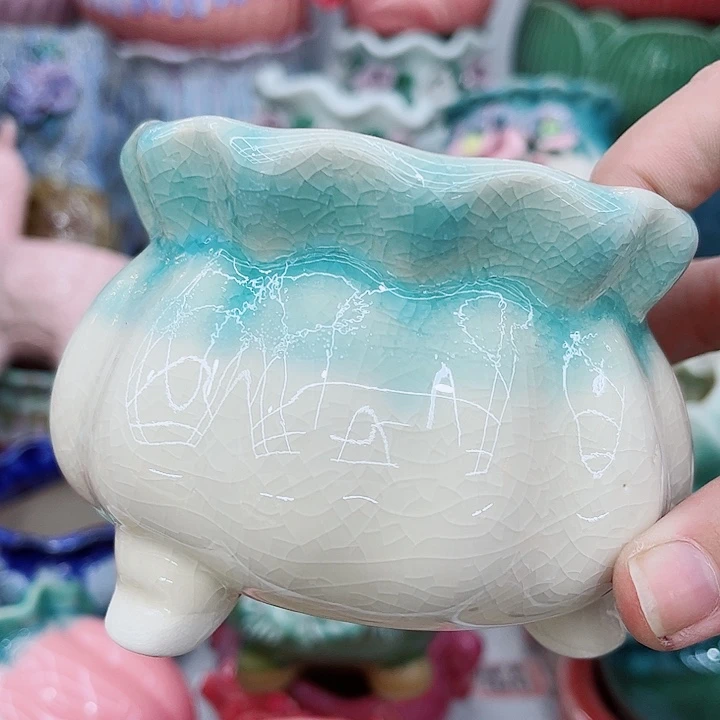 多肉植物陶瓷花盆