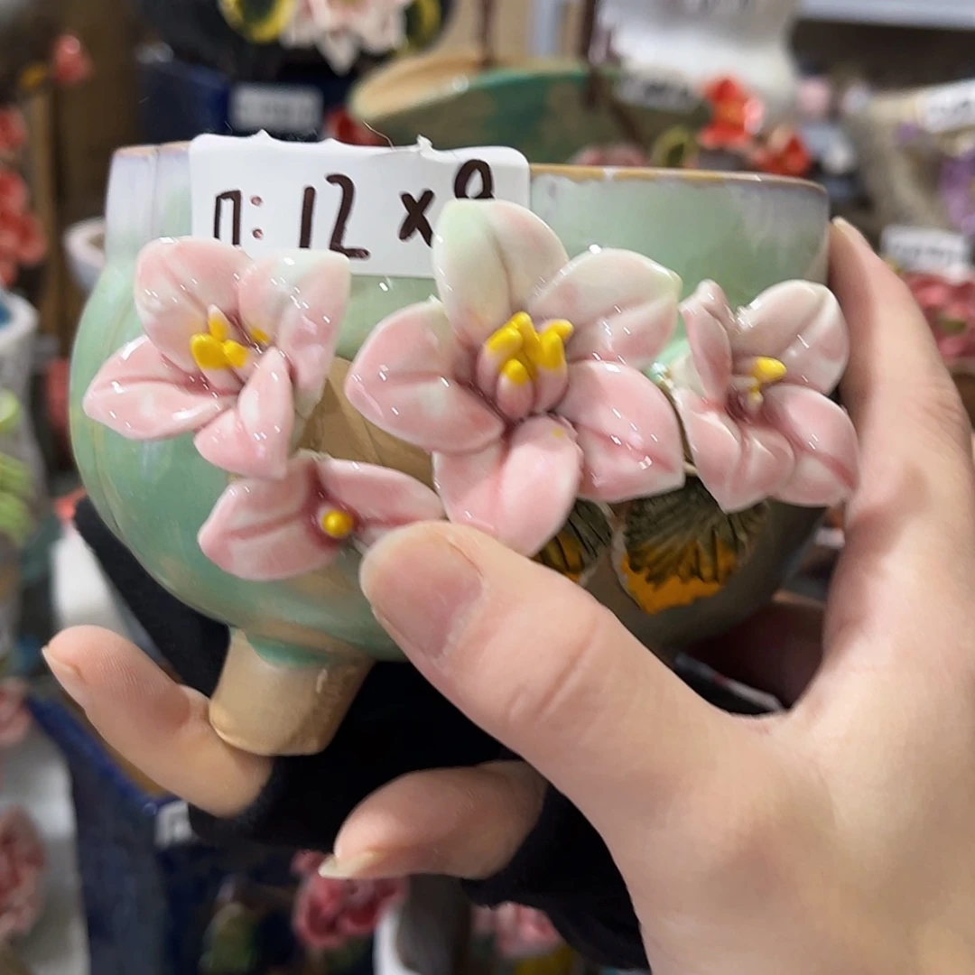 【闪购商品】红陶福利