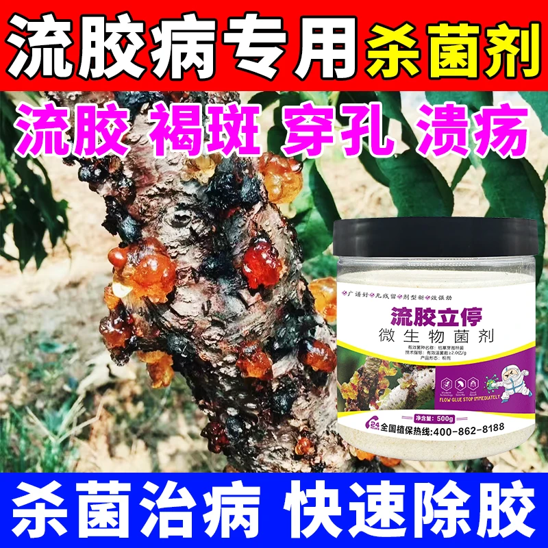 流胶一喷净果树花椒桃树流胶病专用真菌细菌微生物菌剂