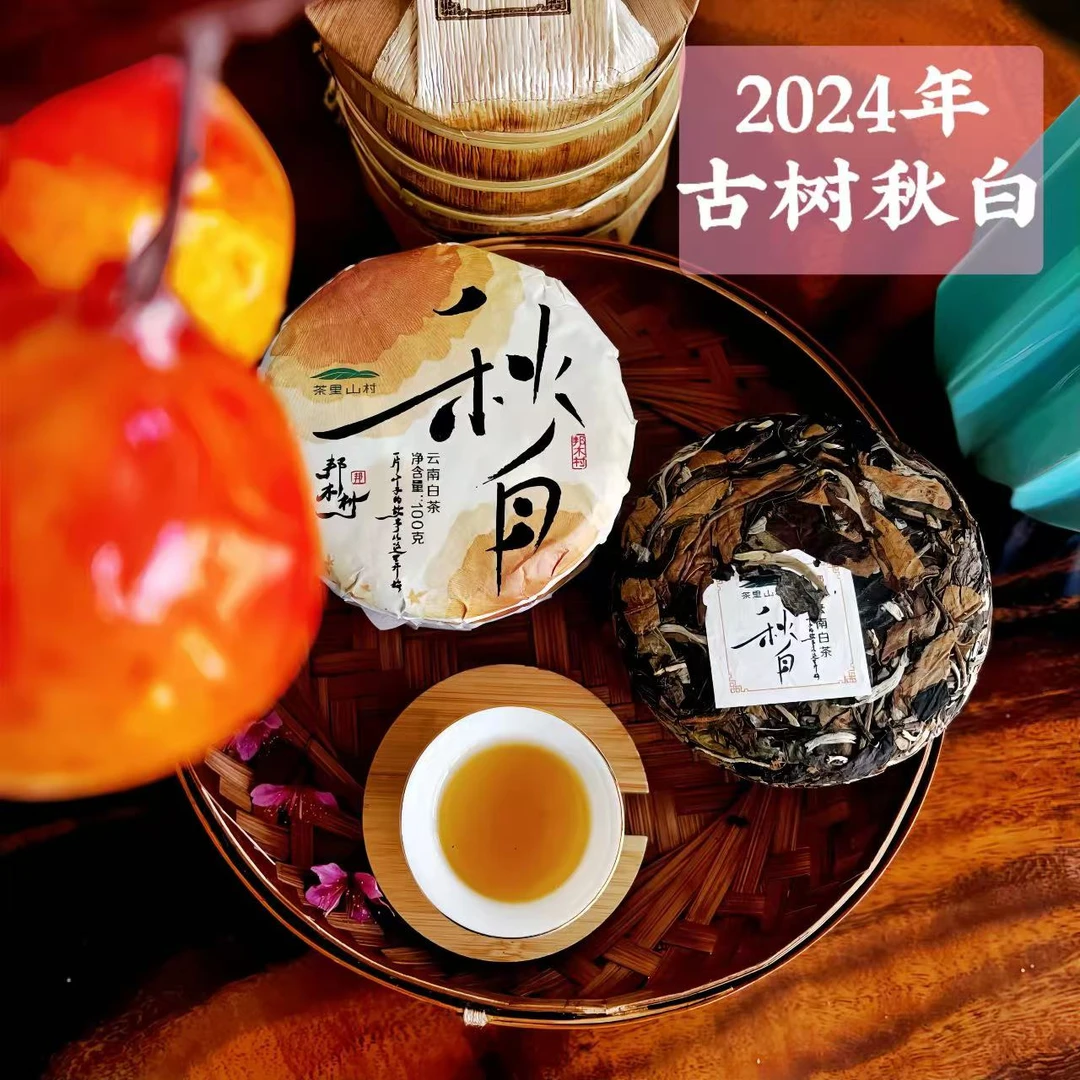 2024年/邦木村/大古树《秋白》/云南白茶/有机/饼