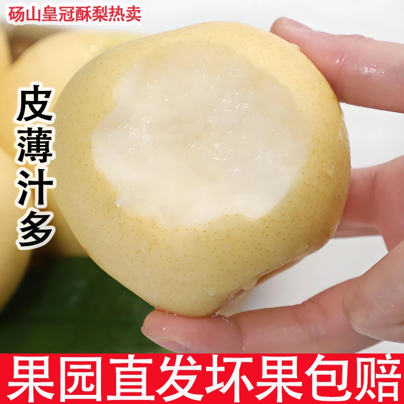 脆甜-正宗砀山黄皮皇冠梨薄皮当季新鲜水果整箱脆甜可口多汁梨子