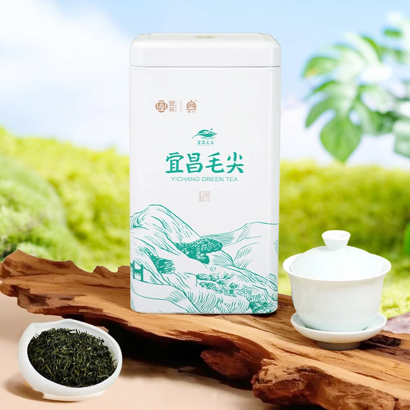 【专属】2025新茶宜昌毛尖绿茶湖北特产茶叶半斤装浓郁板栗香耐泡