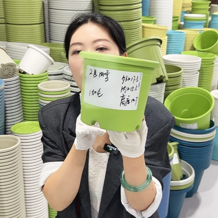 特价2号四季口17高15白色10只无托
