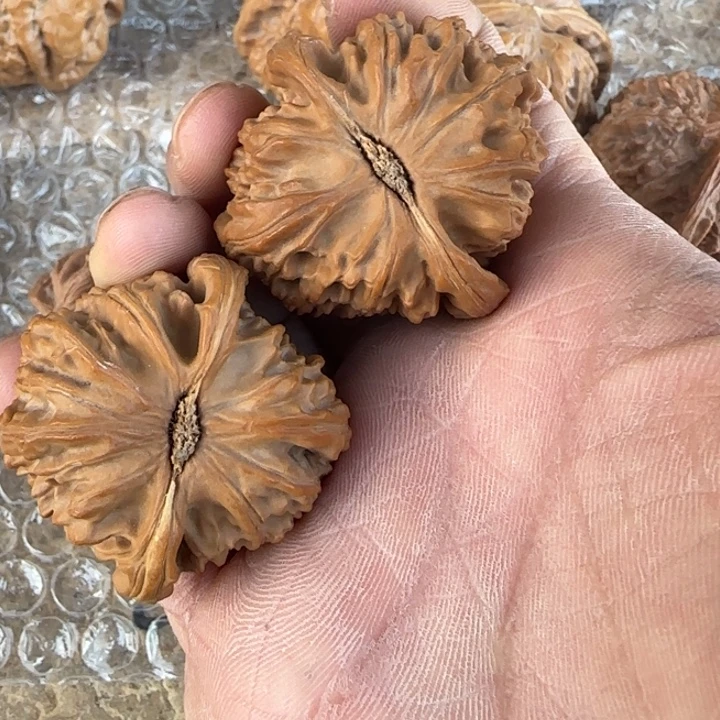 拿***方把件文玩核桃白狮子