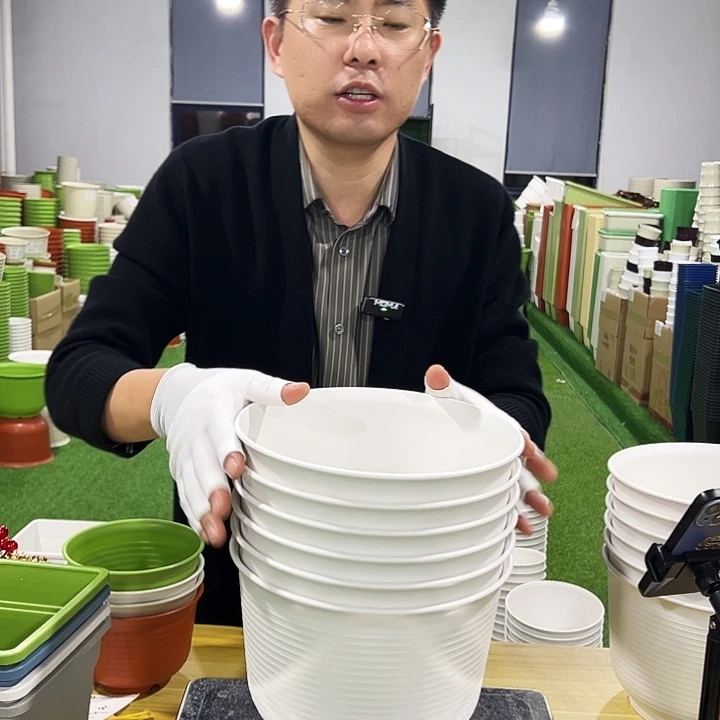 正品矮陶口24高17白色6只无托