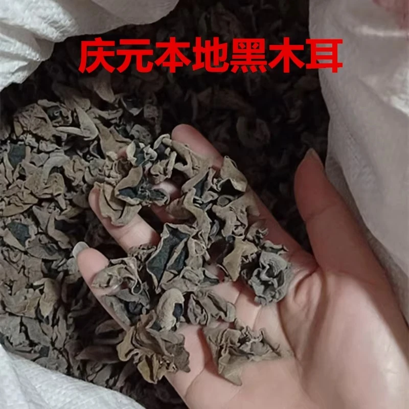 庆元黑木耳小秋耳250g-500g高山农家原厂地自产散装天然晒干