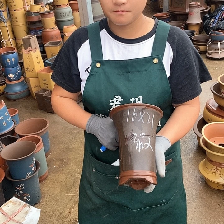 紫砂花盆紫砂花盆盆栽植物花卉苗木种植