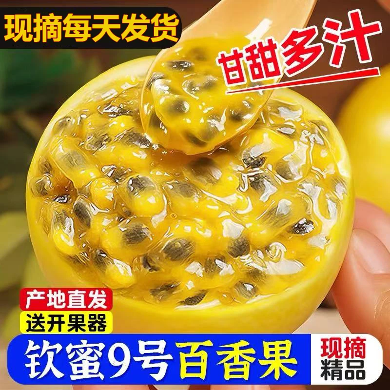 【现货速发】广西钦蜜9号百香果新鲜热带水果现摘现发香甜多汁XZ