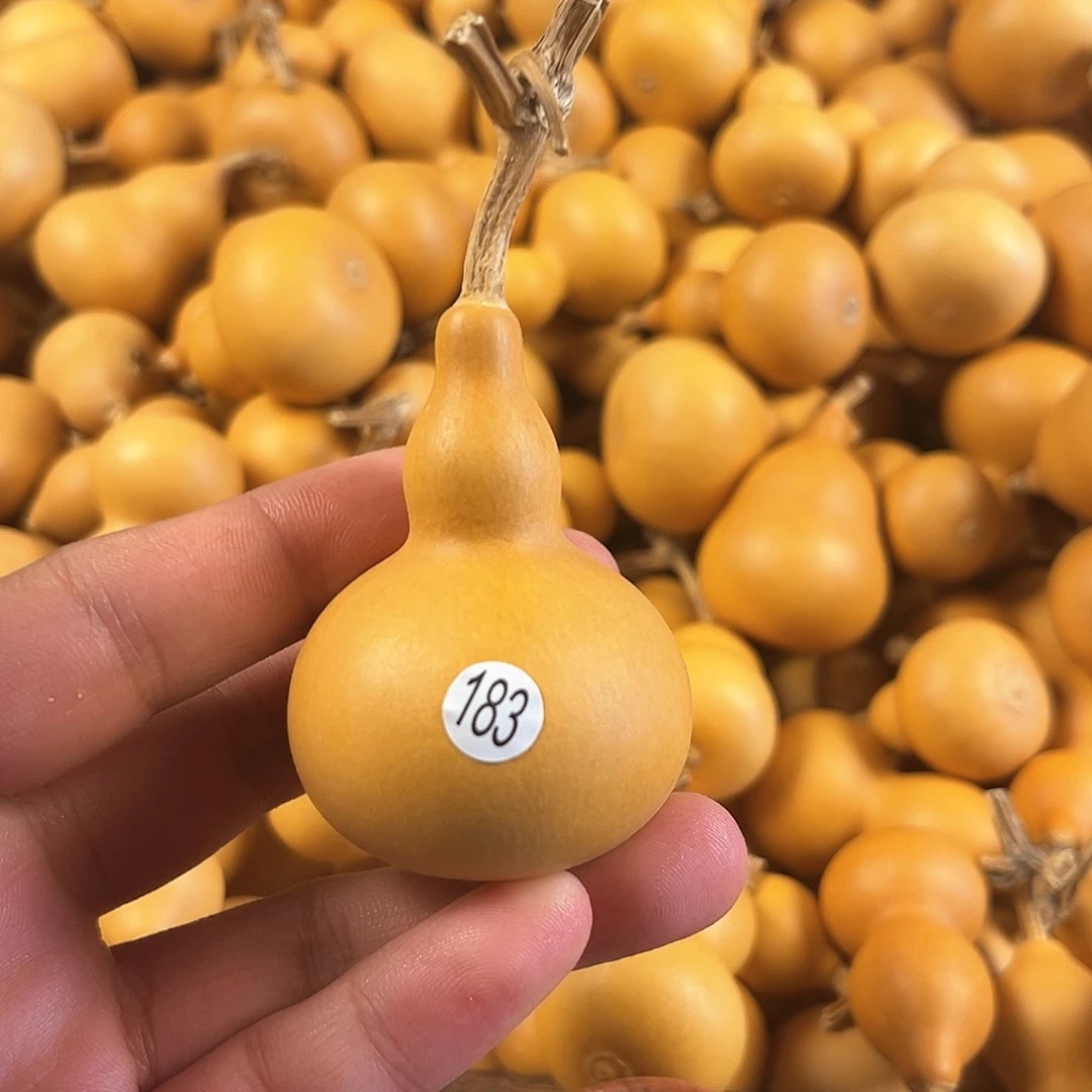 三葫芦葫芦葫芦葫芦183