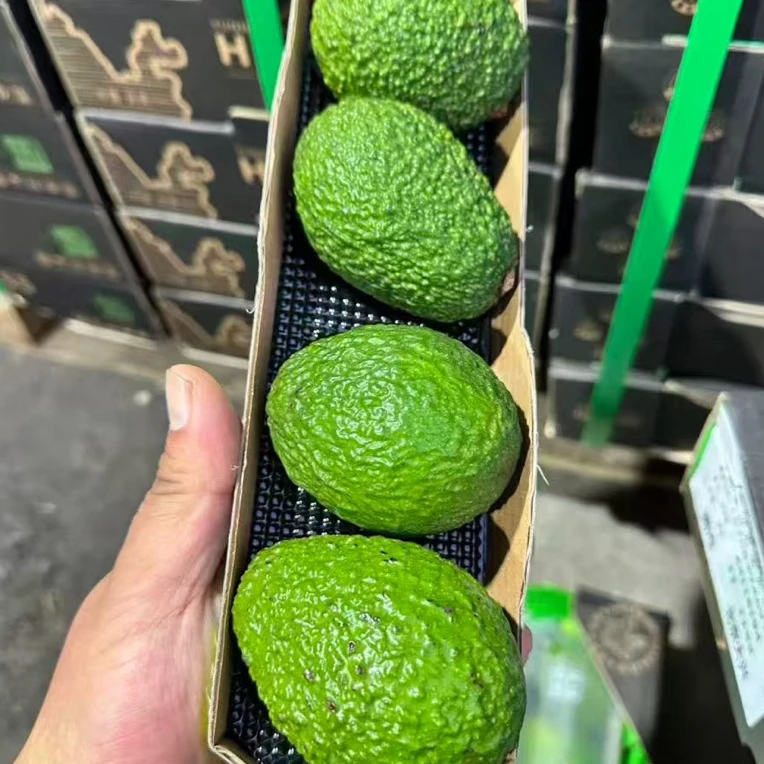 【牛油果】新鲜水果