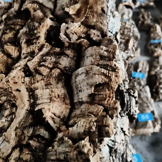 无花朵顺顺利利，平平安安