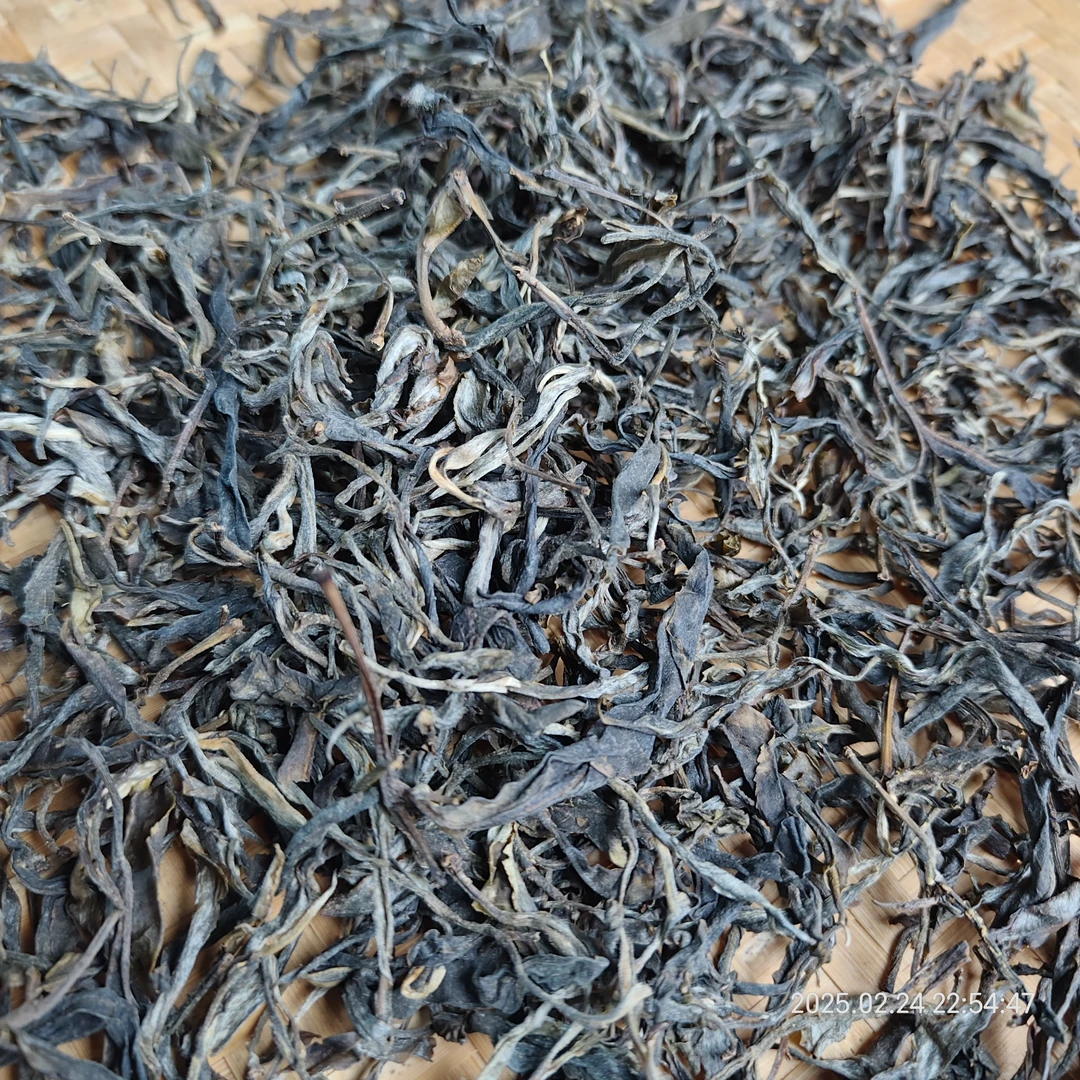 【243】2023年森林茶 生茶