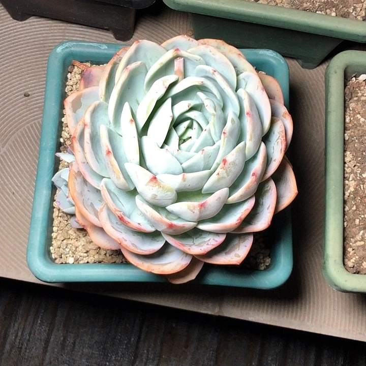 滚*112////////////////