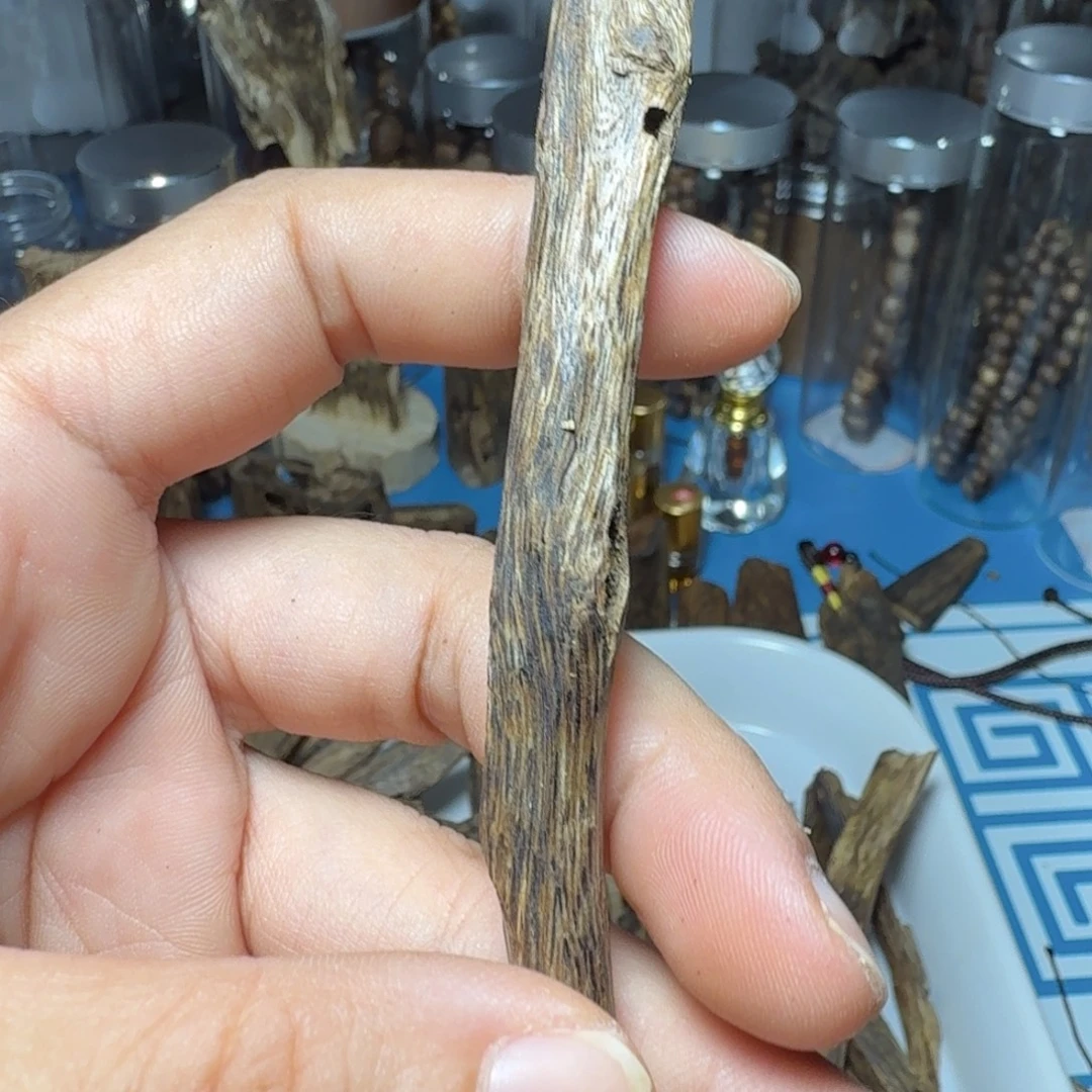 大***陆河枝条虫漏4.3克