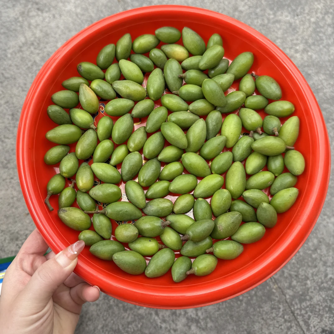 （拍一发二）新鲜采摘青橄榄当季水果佳选