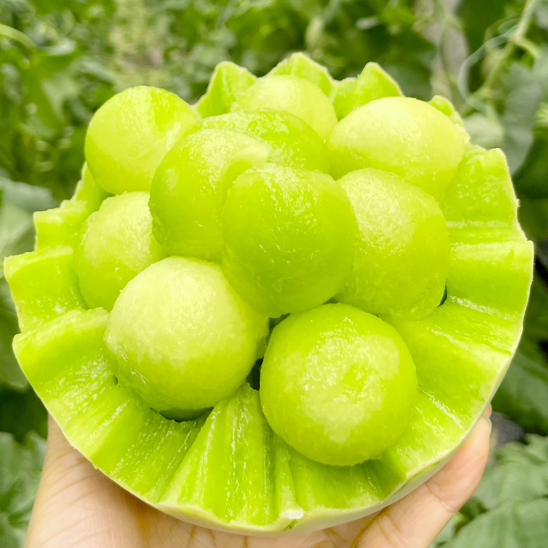 山东玉菇冰淇淋甜瓜 净重4.5/8.5斤 软糯香甜 产地直发