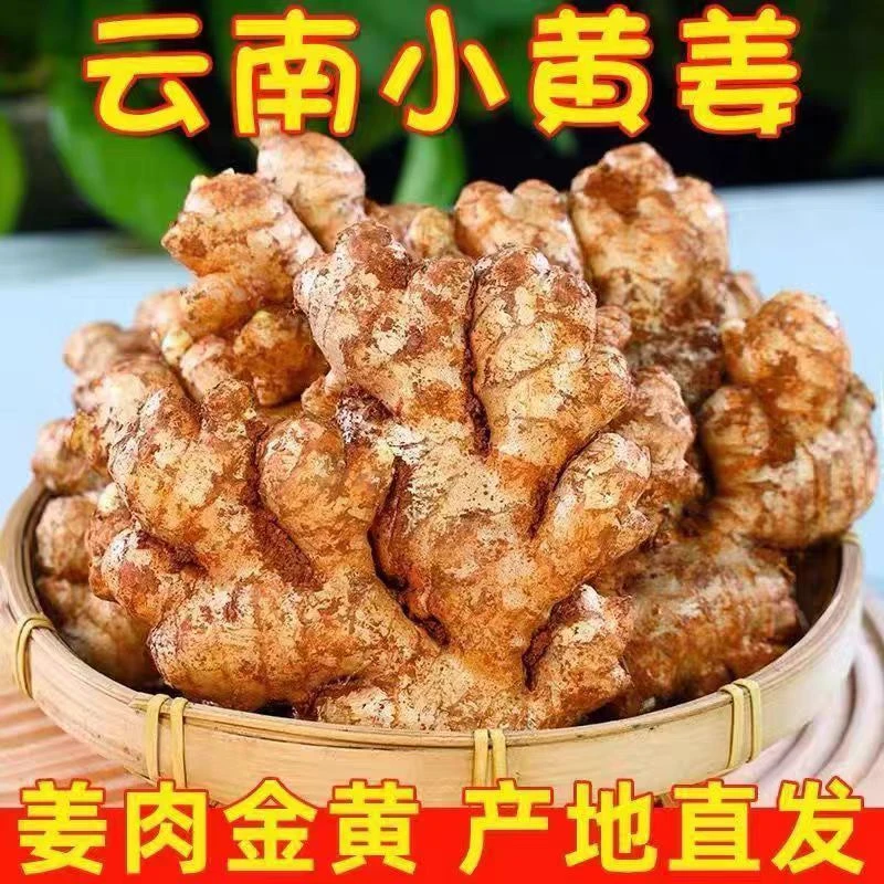（葁哆哆专属）云南高山露天种植小黄姜新鲜现挖现发两年老黄姜