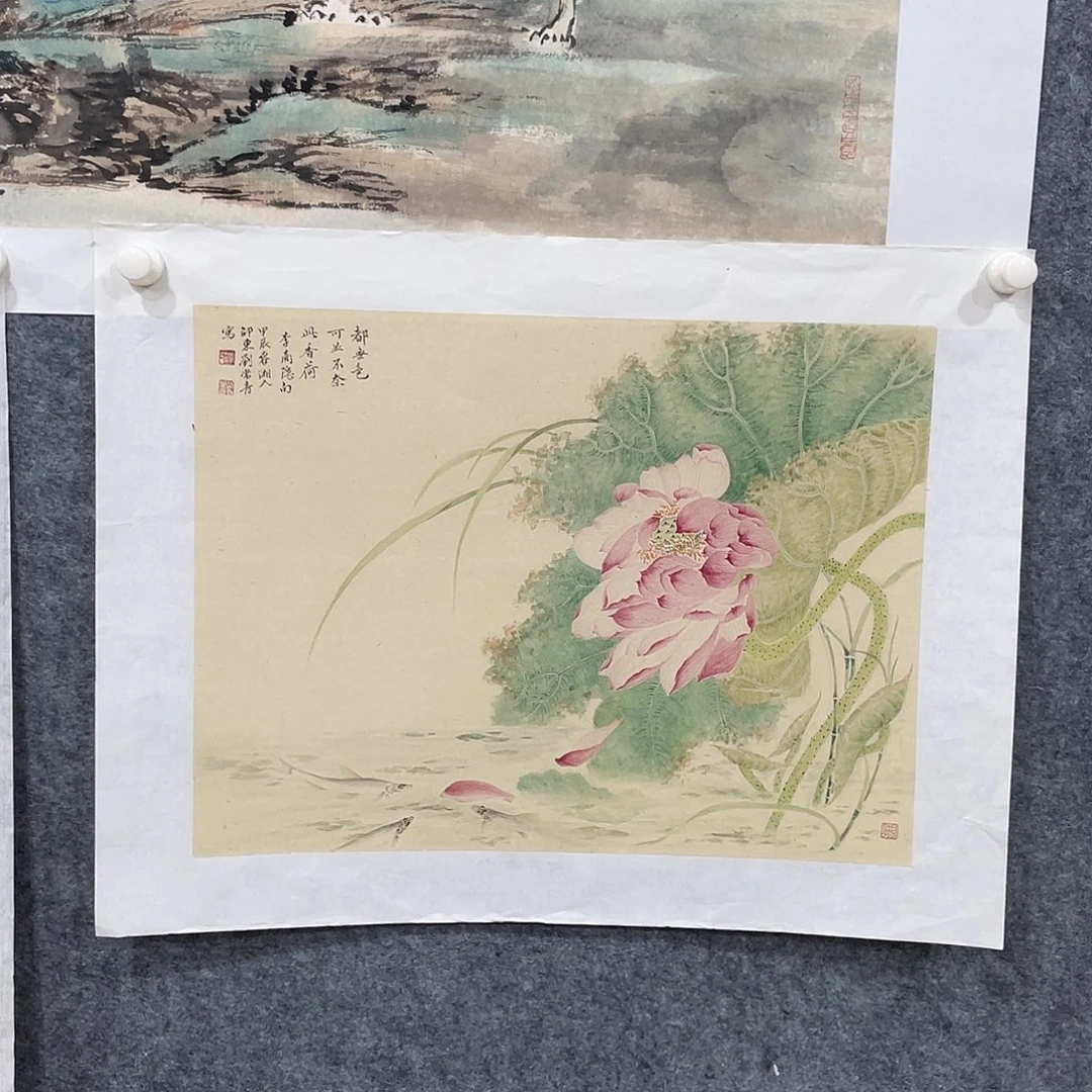 国画刘长青工笔荷花