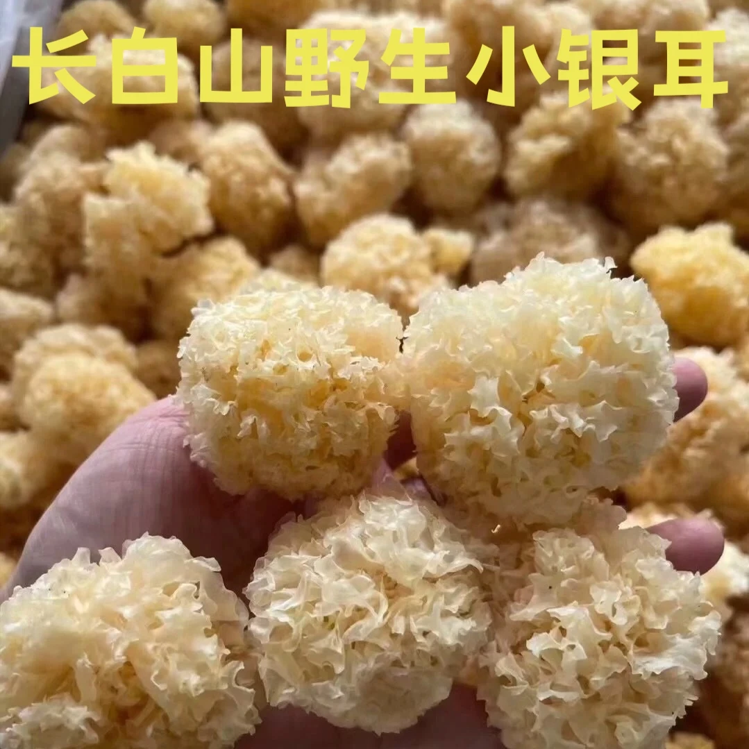 东北长白山野生出胶小银耳500g干货新货