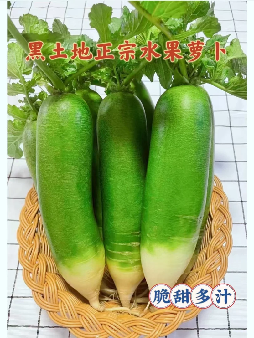 黑龙江新鲜水果萝卜脆甜多汁清脆爽口
