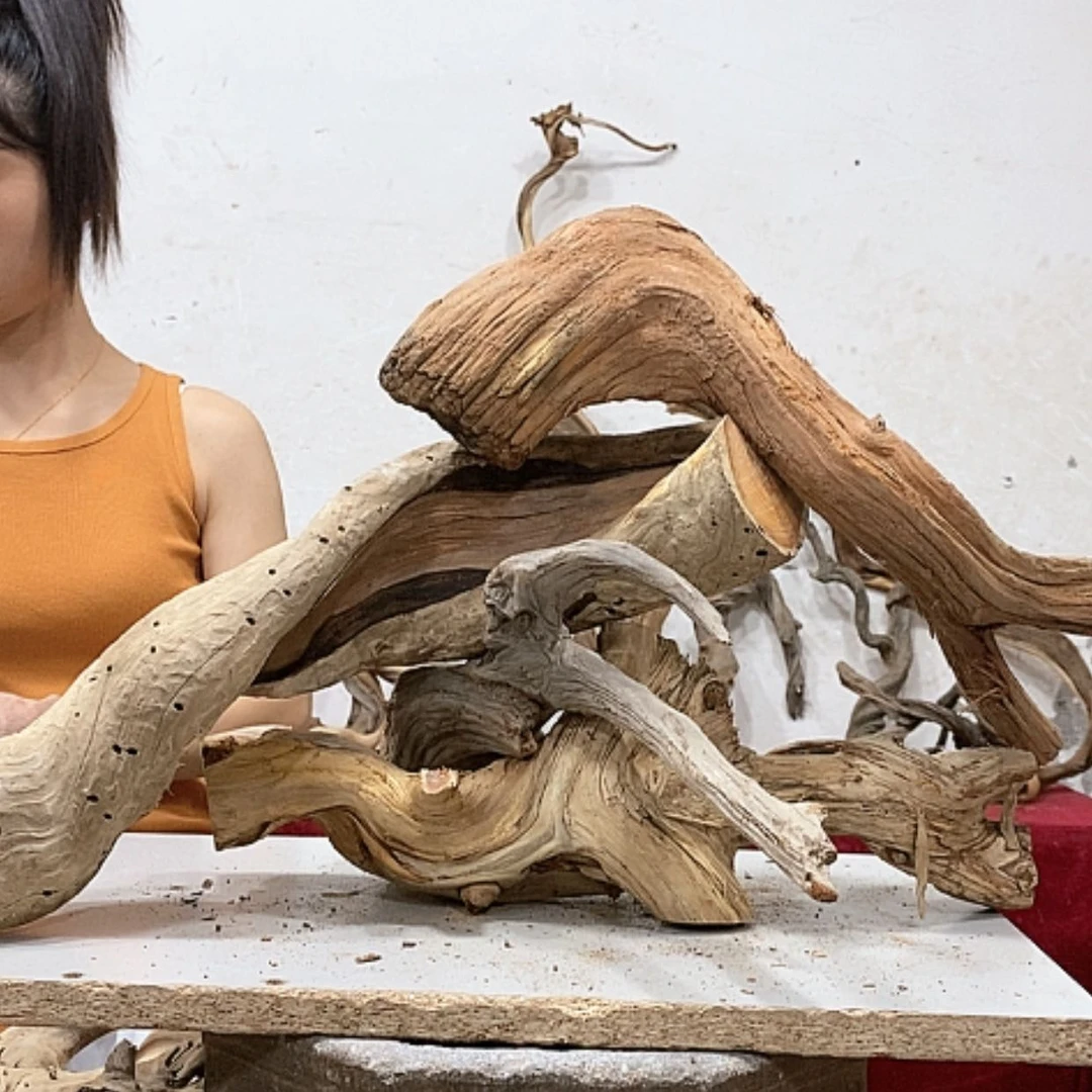 【闪购商品】柏木简我们都是好孩子