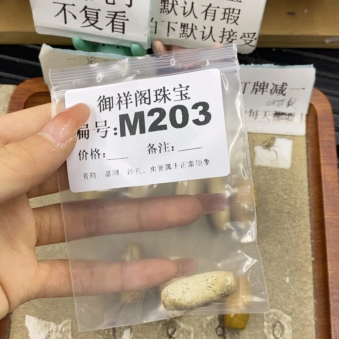 硅化珊瑚（珊瑚玉）未镶嵌颈饰不**夜