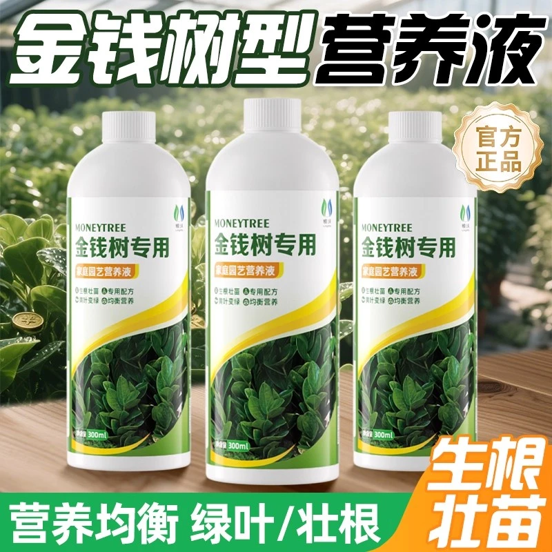 【绿叶壮根】金钱树幸福树专用营养液促生根防黄叶室内盆栽通用肥料