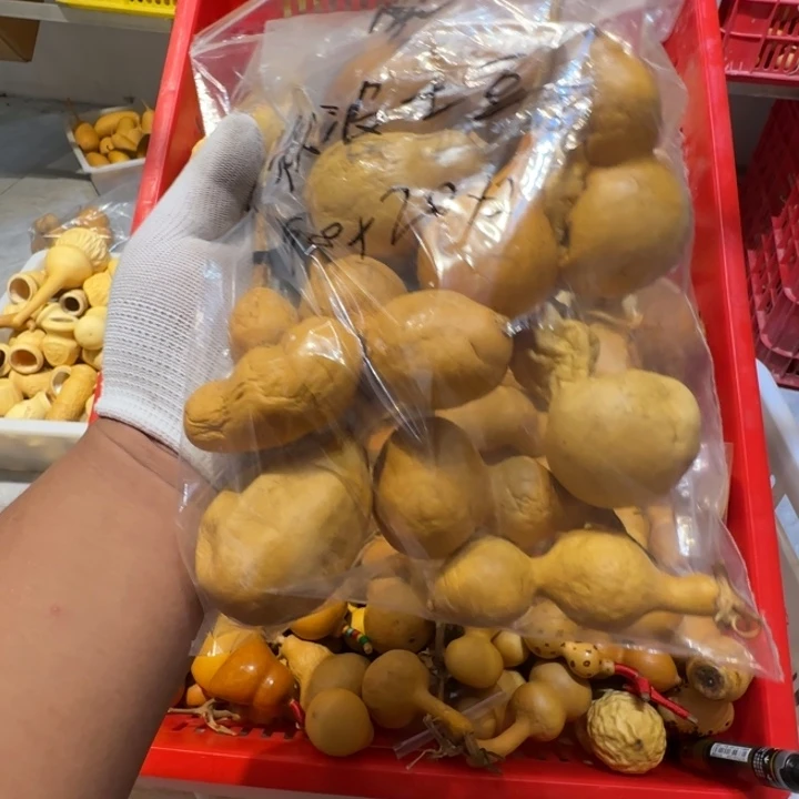 一***鼠哈哈哈哈哈哈哈哈哈哈哈哈