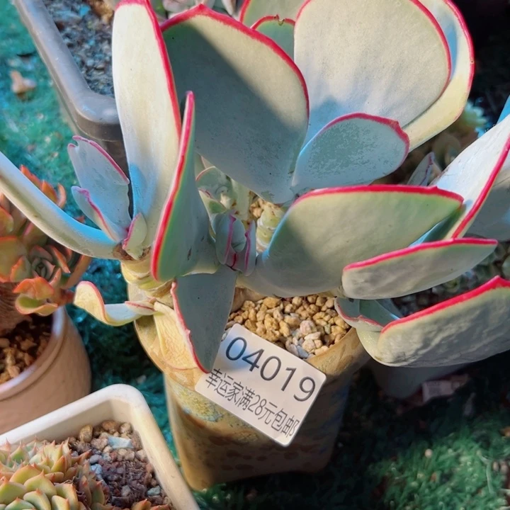 幸运的是我还没遇到