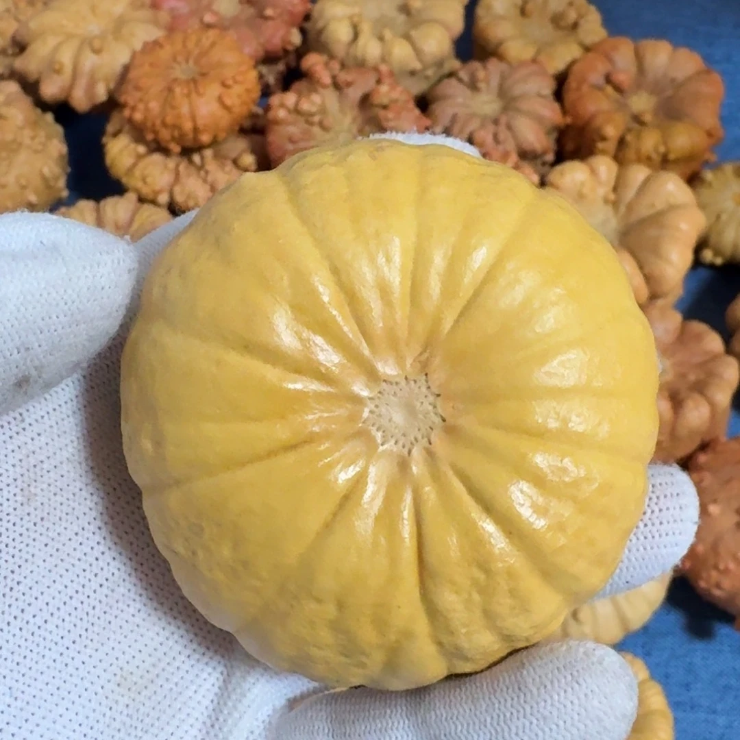 我***代葫芦墨西哥七彩疙瘩葫芦手把件