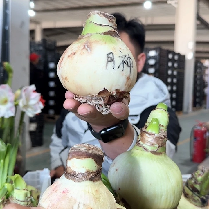 心***海精品基地球一个，，，