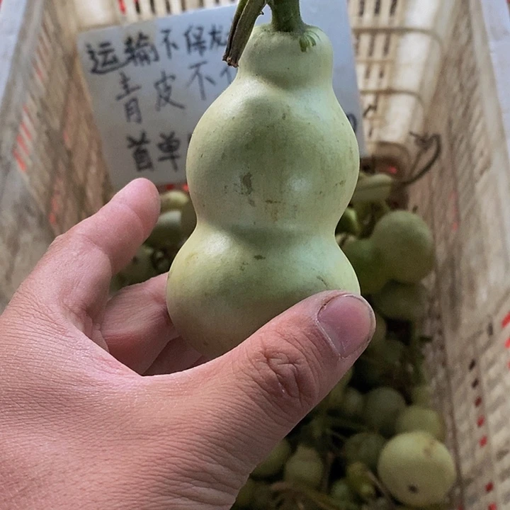 L**-哈哈哈哈哈哈哈哈哈