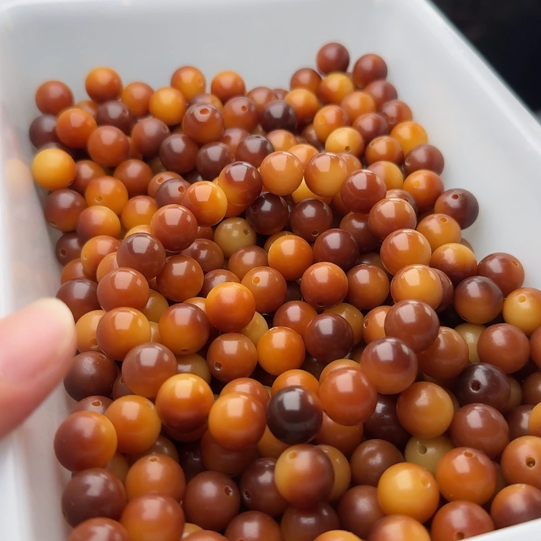 吊坠菩提根/象牙果50 颗油膏可可 12 圆