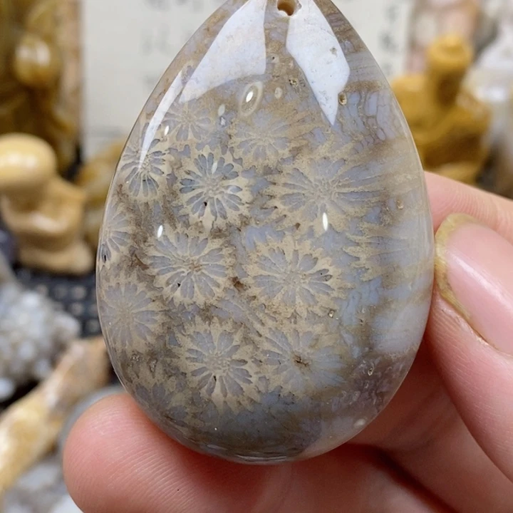 颈饰未镶嵌硅化珊瑚（珊瑚玉）