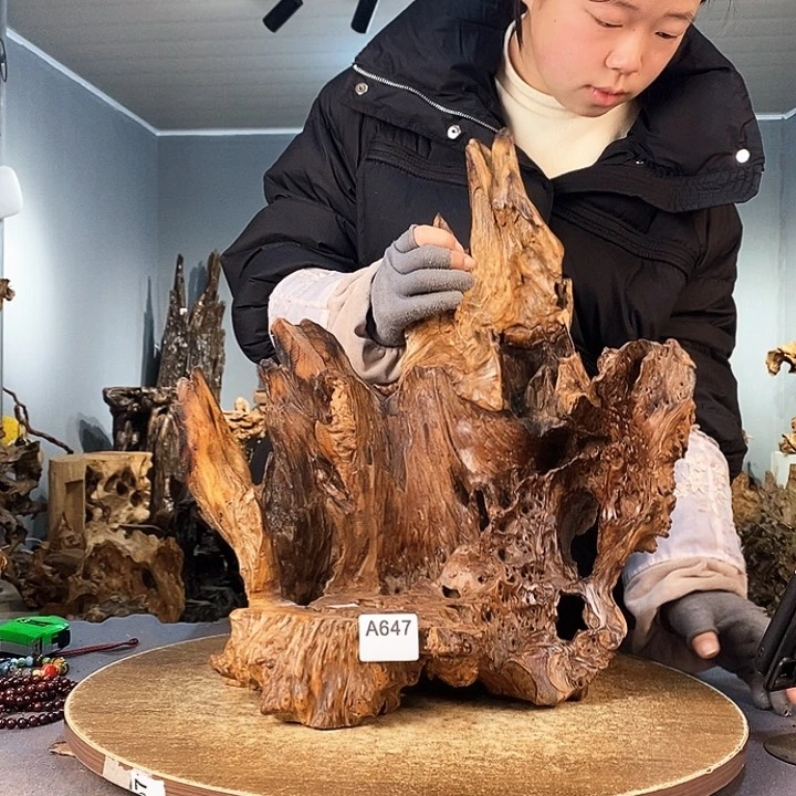 茶盏@*方647株木底座随行根艺