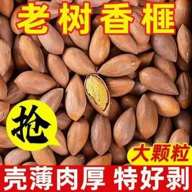 【次日达】浙江特产香榧国坚果100g袋装老树香榧