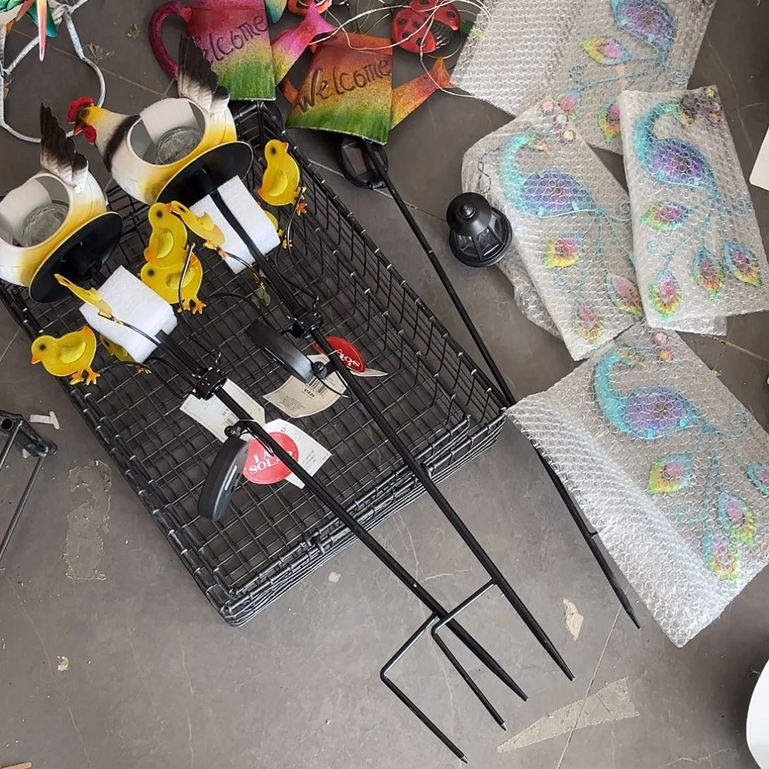 宠****孤品镜头前面所有物品