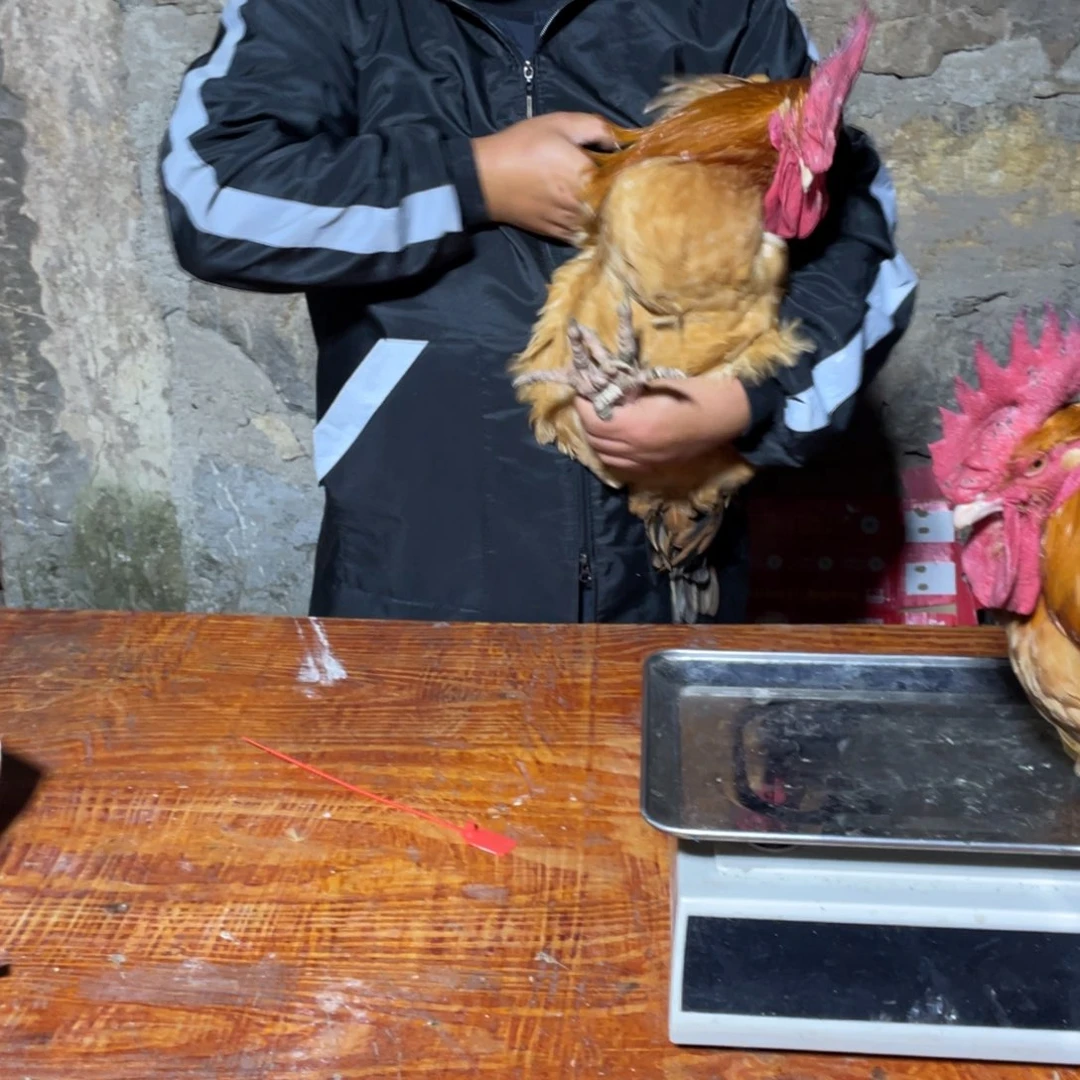 180中国大陆包装4号