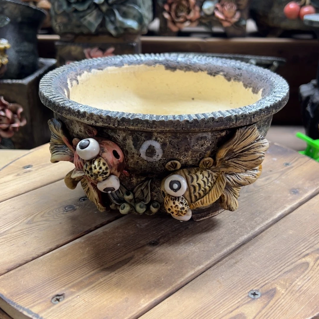 青藤多肉花盆百搭