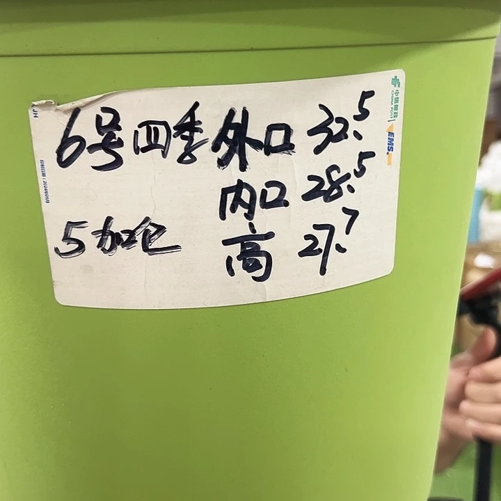特价6号四季口32高28混色7个无托