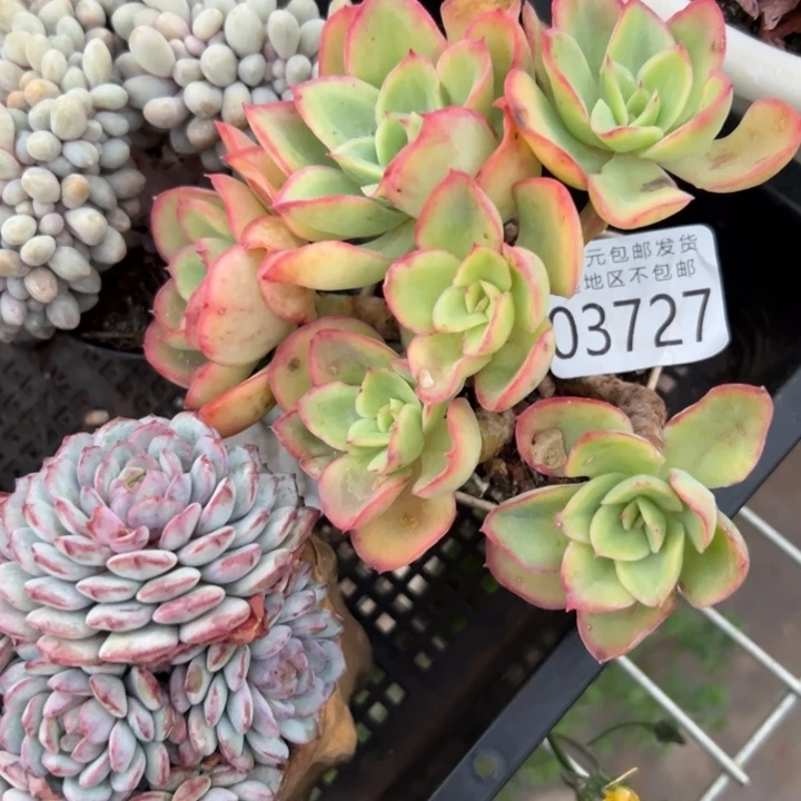 幸运的是我没有遇到过这样