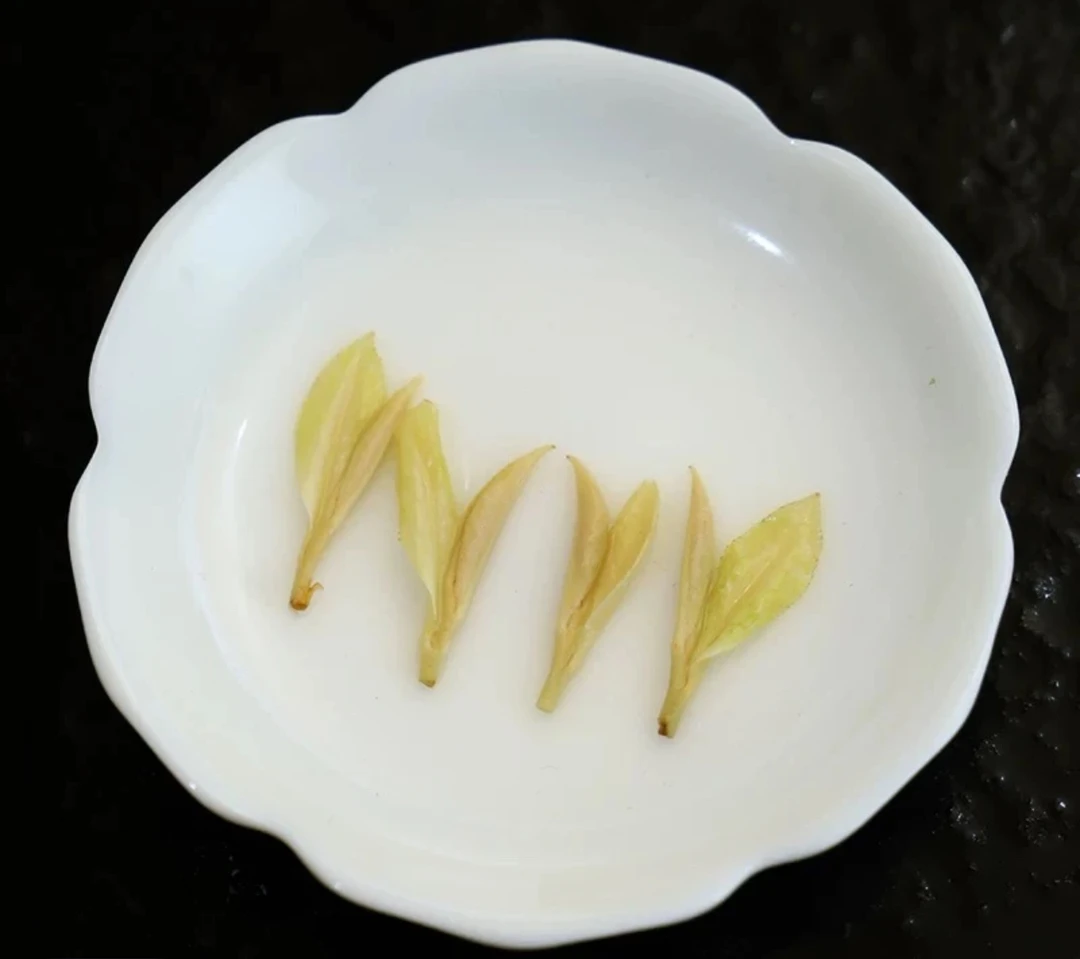 2025 J48新茶 奶香味 白茶